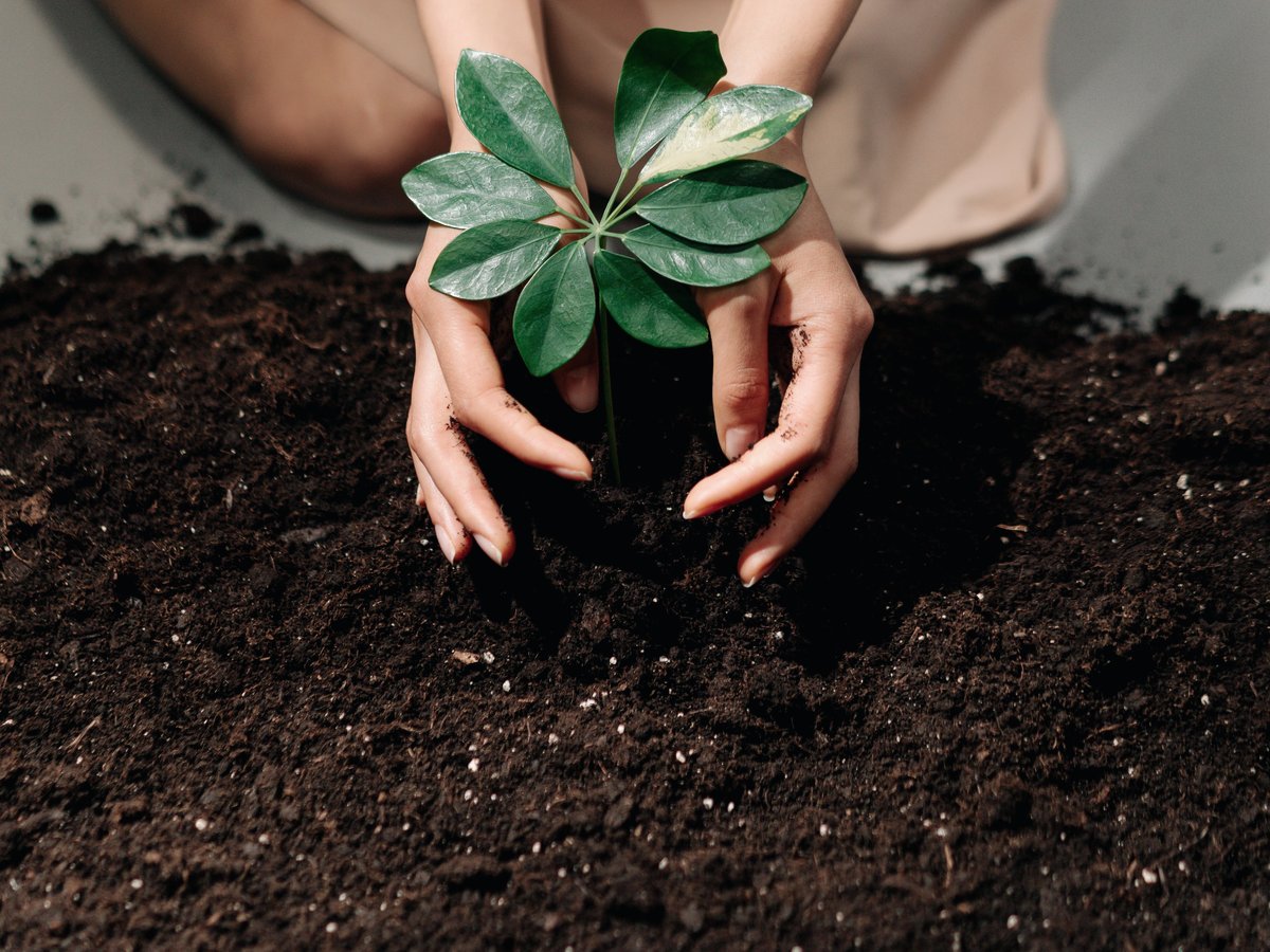 Responsible cultivation