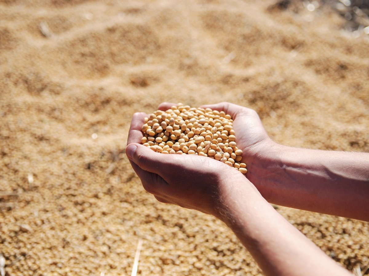 Traceability